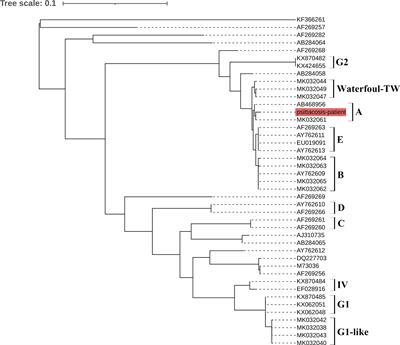 Case Report: A case of Chlamydia psittaci infection in an HIV patient